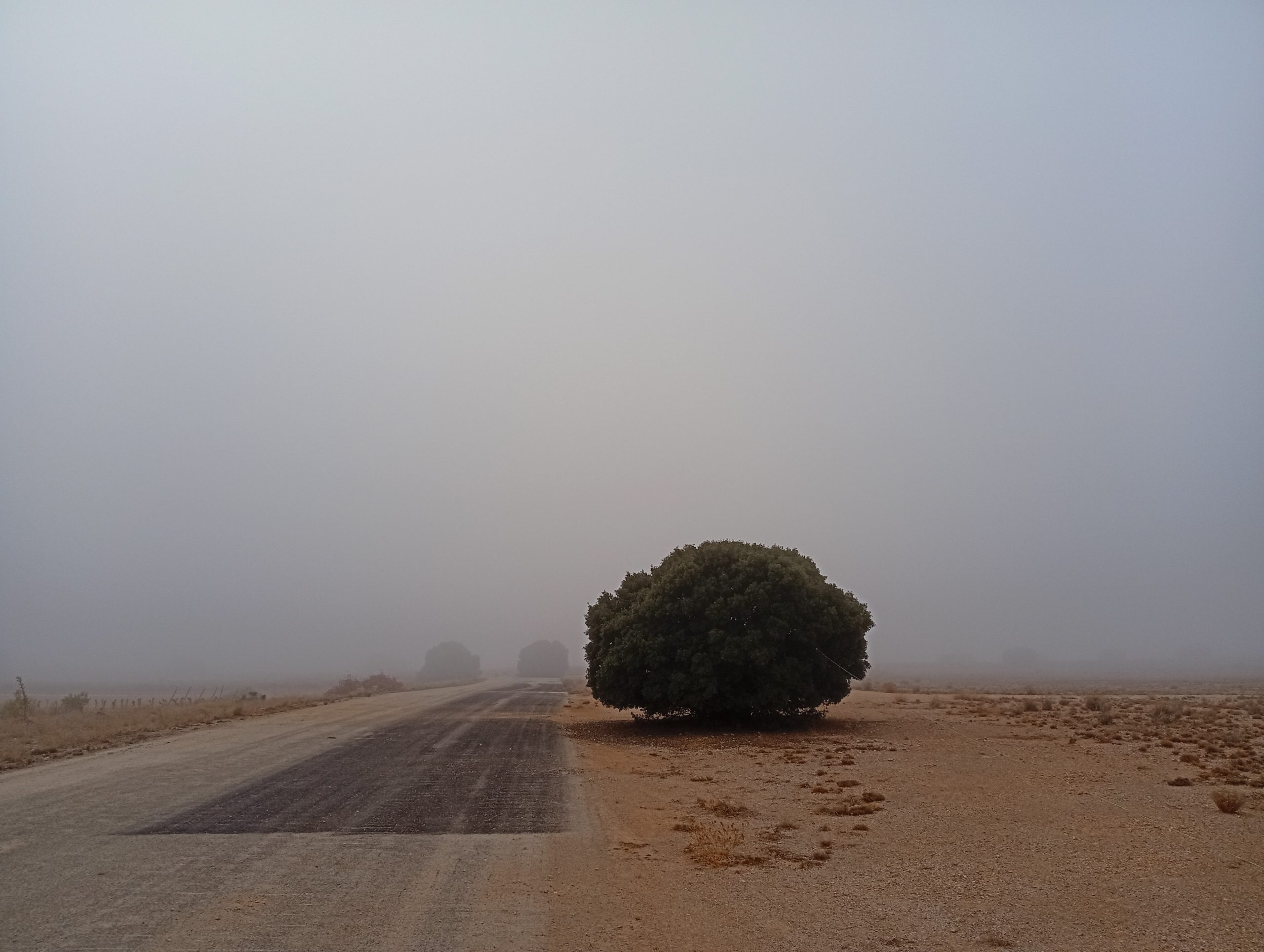 Se extendió la niebla