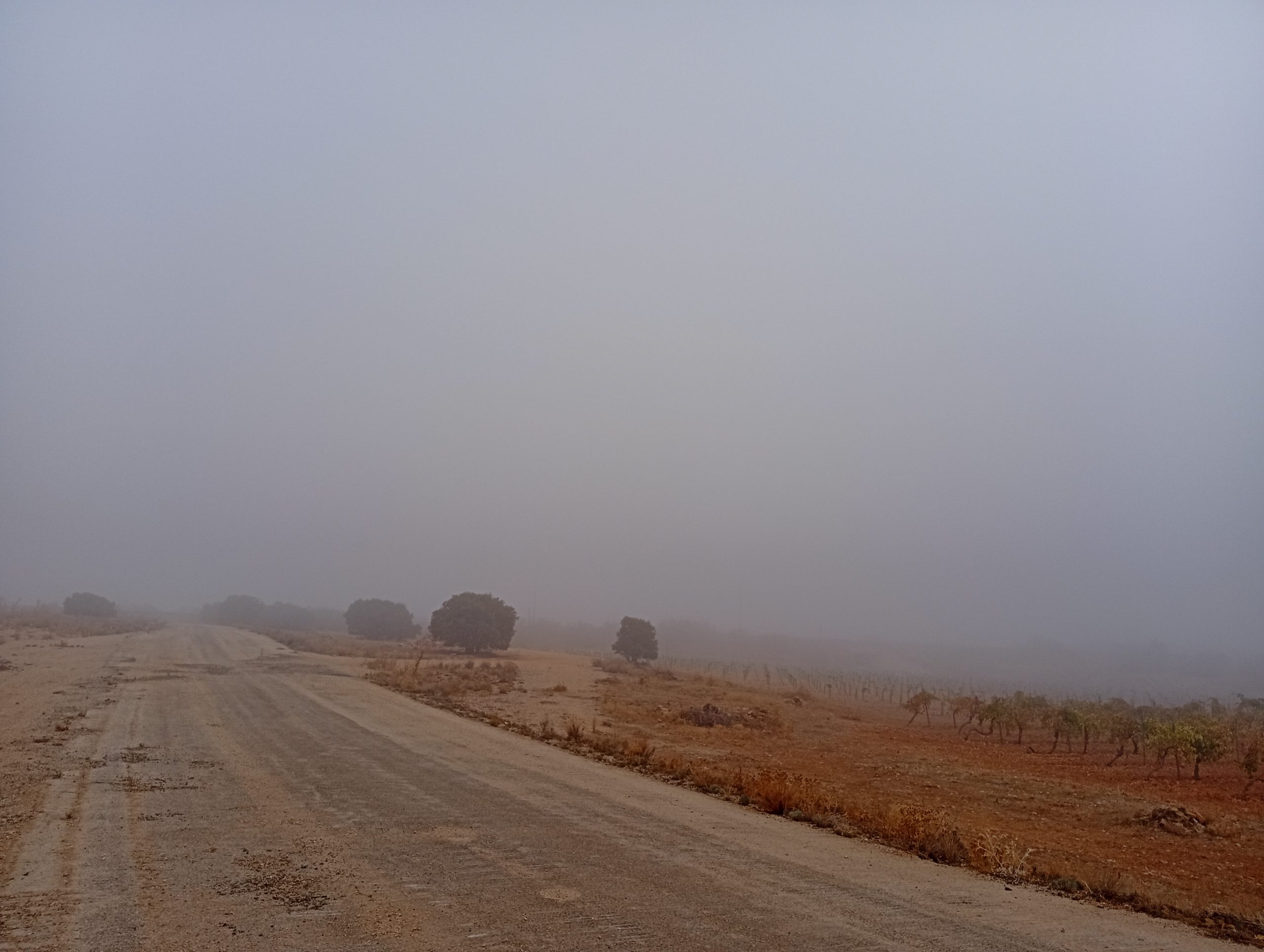 Se extendió la niebla