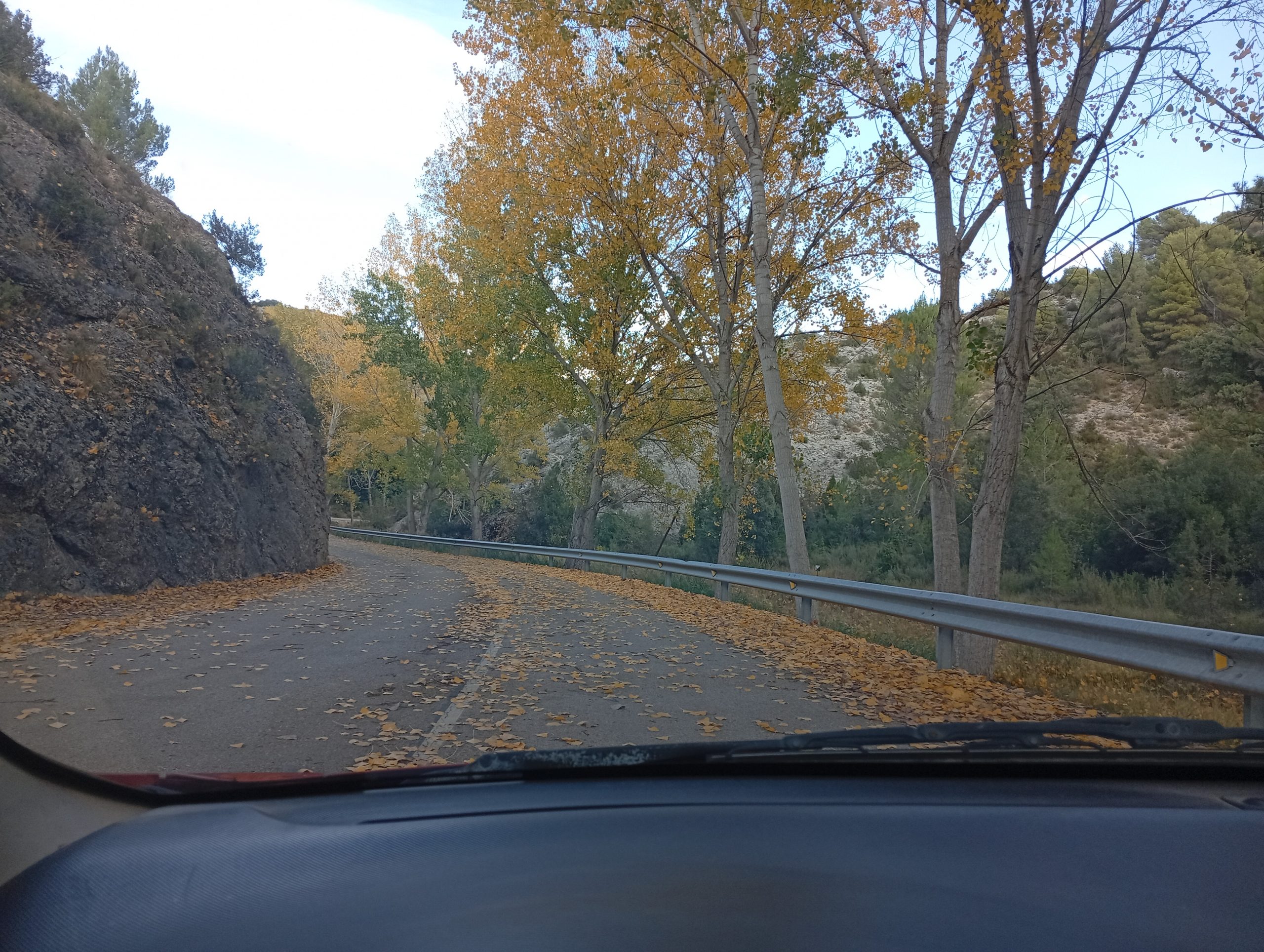 Colores mágicos del otoño