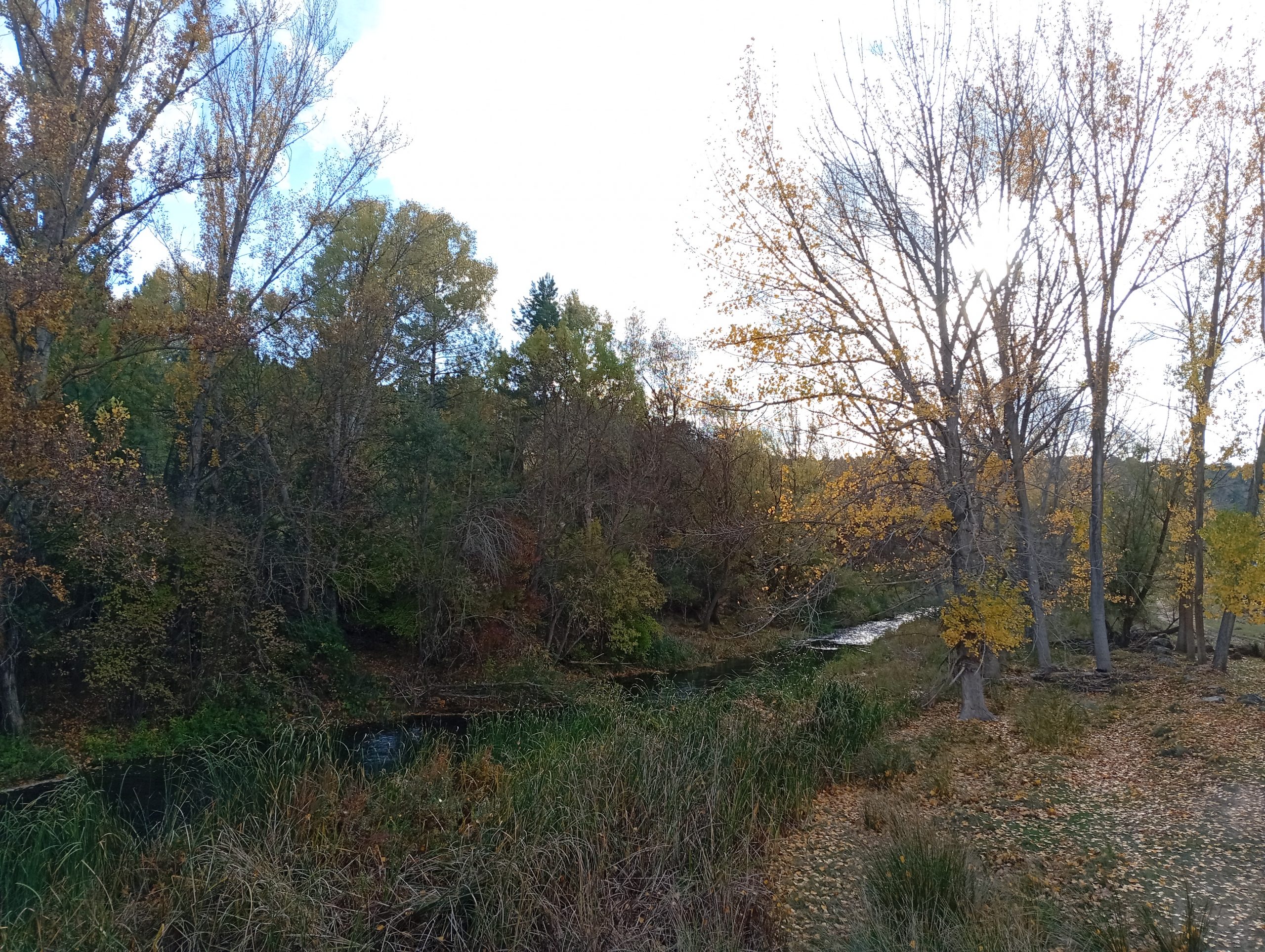 Paraje del Río Cabriel