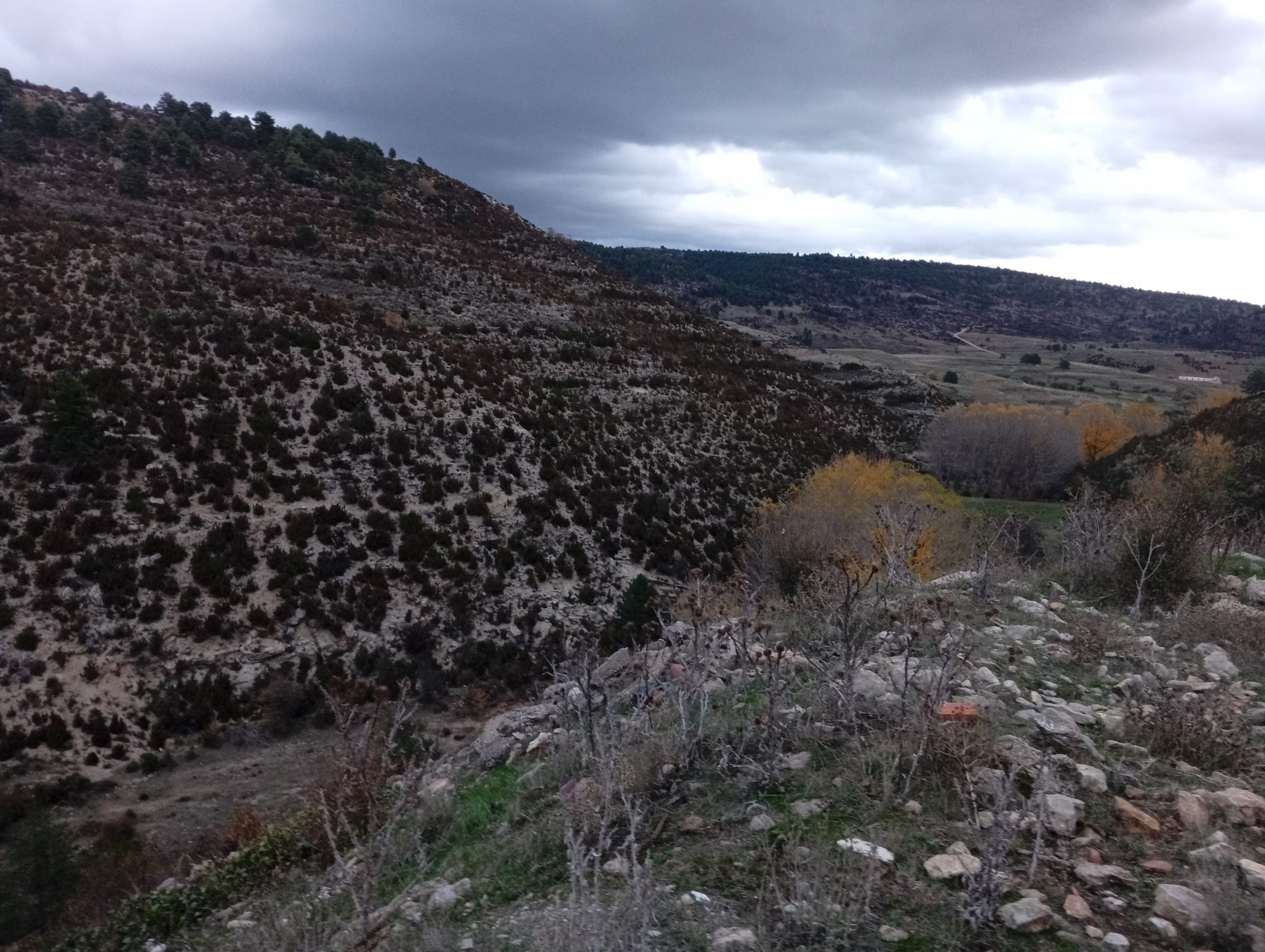 Paisajes de Zafrilla