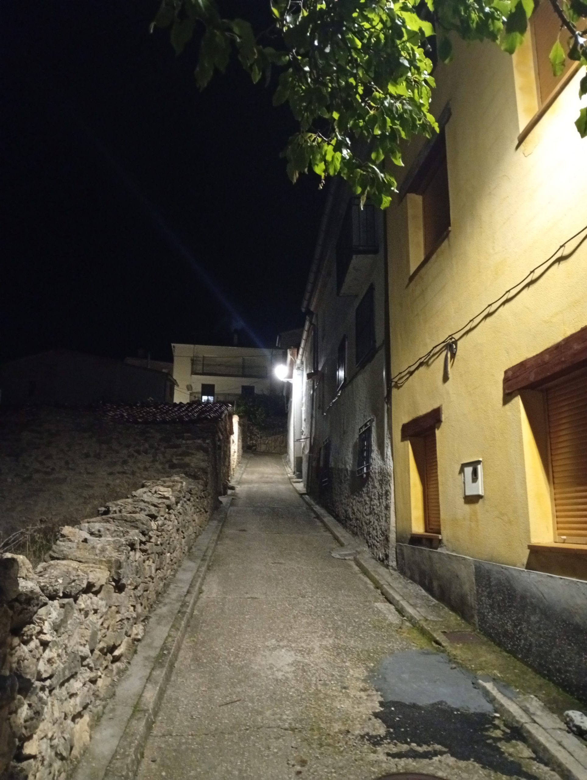 Zafrilla por la noche