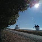 Fría mañana de sabado