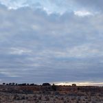 Precio al atardecer del domingo